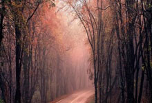 蓝鲸体育:王楚钦拟被录取为北大硕士,此前已入职北京事业编.