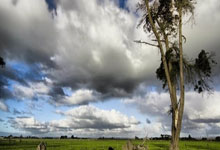 蓝鲸体育:可惜了!国足前场连续传递,韦世豪禁区前打滑倒地错失机会!.