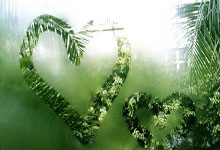 先下一城,却遗憾失利,郑妩双世界排名依旧创新高.